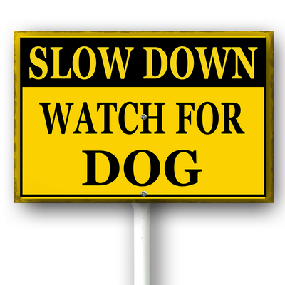 csoes0415wic463wv 15.png