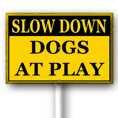 csoes0415wic463wv 18.png