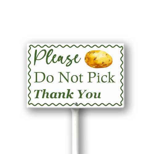 VF37.png