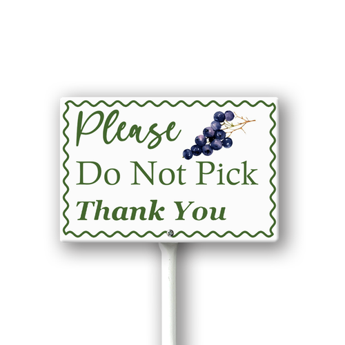 VF35.png