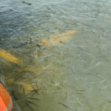 GIF 20250415162955039.gif