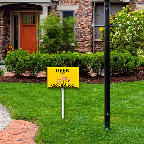 22 csoes0415wic463wv 4.png