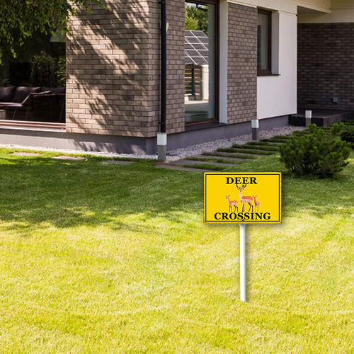 33 csoes0415wic463wv 4.png