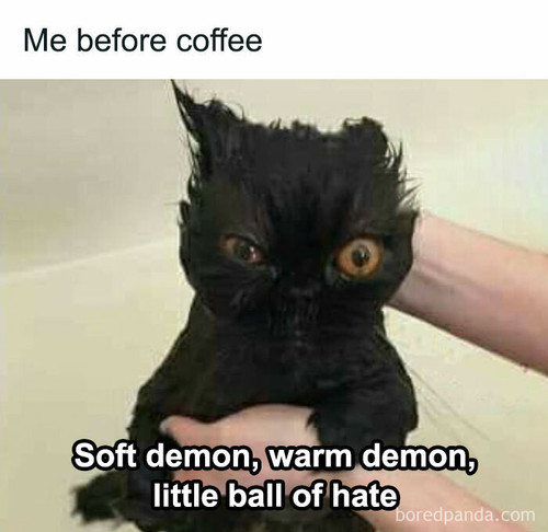 barely functioning relatable funny memes 1 67fcb3d9527a0 700.jpg