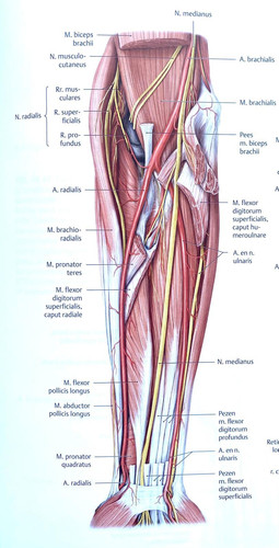 05f9ef442c78.jpg