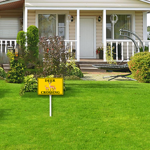 66 csoes0415wic463wv 4.png