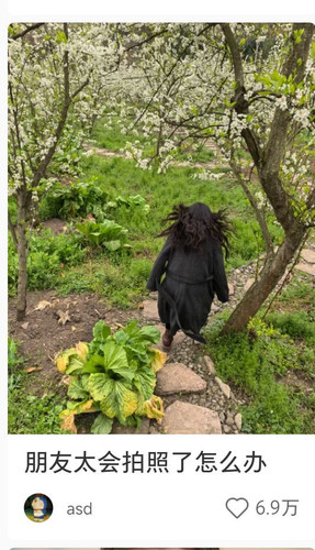 Image 486838444986419.jpg