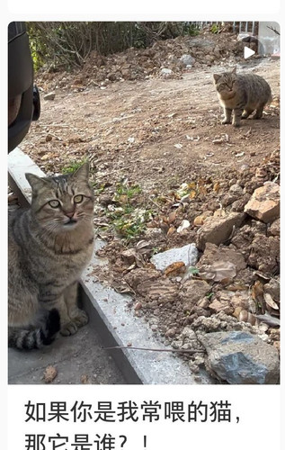 Image 487274572218805.jpg