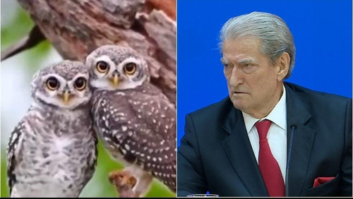 489926968 1063568855804958 4906100998818276126 n.jpg? nc cat=110&ccb=1 7& nc sid=127cfc& nc ohc=ePh7.jpg