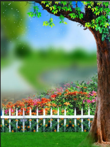 Screenshot 2025 0415 183601.jpg