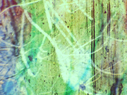vlcsnap 2025 04 15 13h10m54s286.png