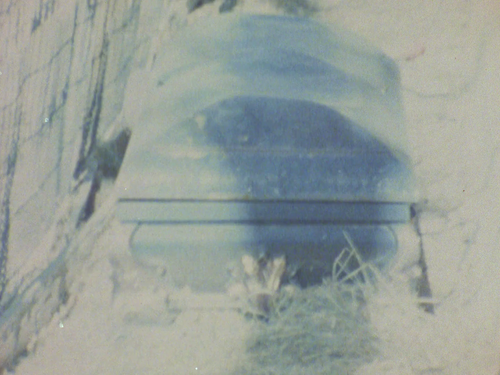 vlcsnap 2025 04 15 13h11m23s805.png