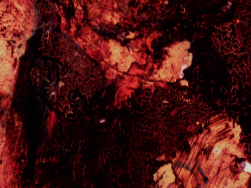 vlcsnap 2025 04 15 14h52m20s193.png