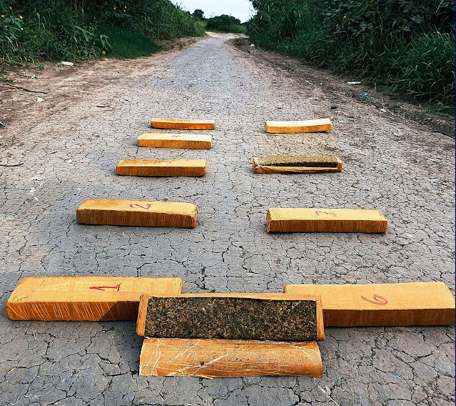 Barrio Lote Rural 3 Bis: Secuestraron 10 ladrillos de marihuana valuados en más de 23 millones de pesos