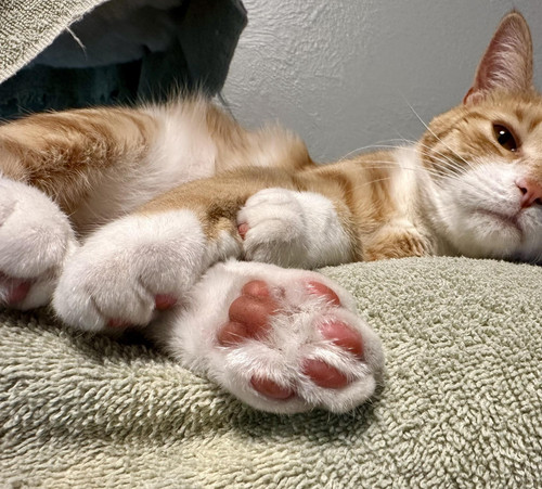 491970179 654812077536505 7741504883695352439 n.jpg