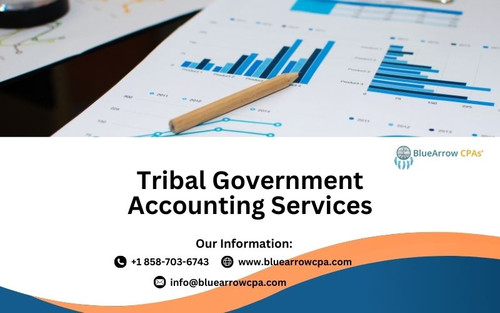 Tribal Government Accounting Services.jpg