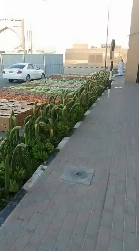 mOpXx ki edxm 68.jpg