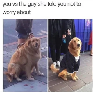 good boys in different sizes v0 pn3uoculcwue1.webp