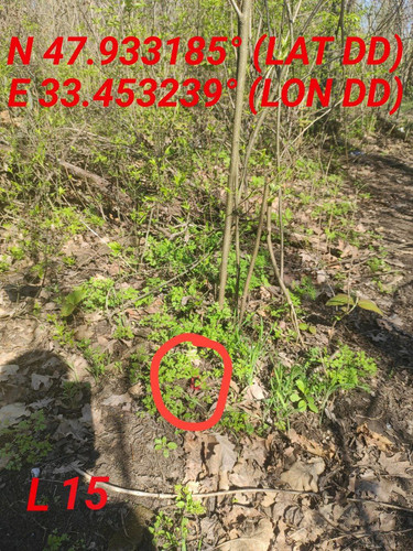 5472092543798863857.jpg