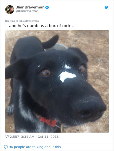 1050228097600147456 png 700.jpg