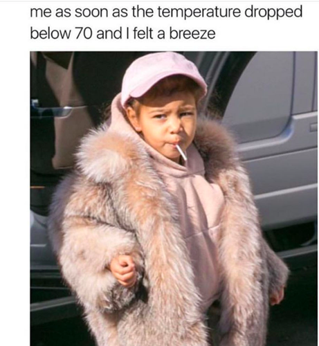 fashion meme 11.png