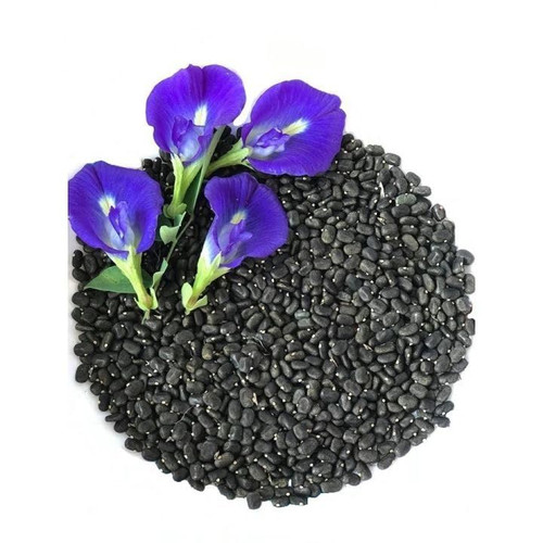 Butterfly Pea Flower Seeds, 100 Blue Butterfly Pea Vine Seeds (Clitoria Ternatea) by Mai's Family LL.jpg