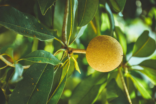 pexels longkg2000 1642884.jpg