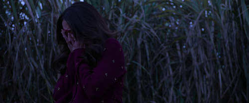 vlcsnap 2025 04 15 09h56m05s721.png