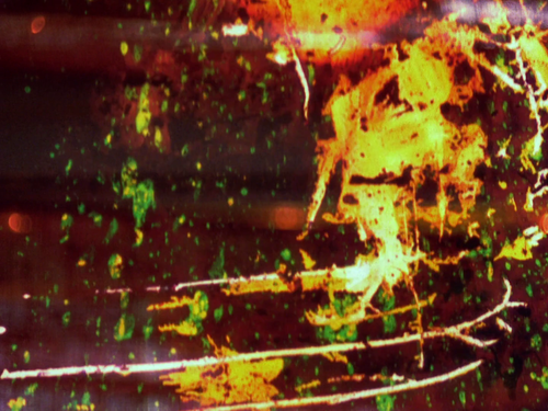 vlcsnap 2025 04 15 18h51m48s288.png