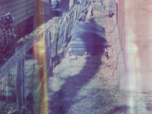 vlcsnap 2025 04 15 18h50m34s110.png