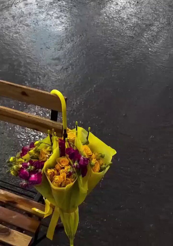 h9rEamEvk kk0Zsz.jpg