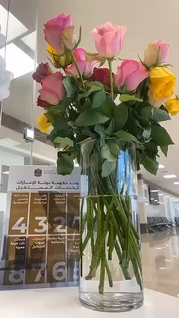 EZJMqHJzjNevx 9D.jpg