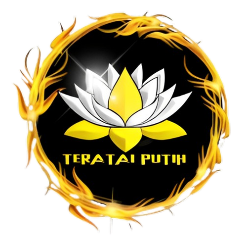 image removebg preview 1 1 removebg preview.png