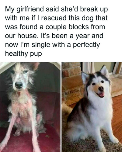 C 3Sunozgvp png 700 672a3bc589c86 700.jpg