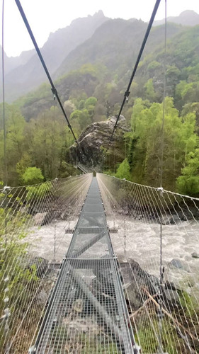 7whe5kWLzjPz VSt.jpg