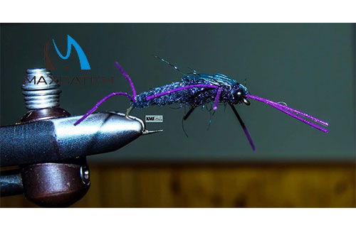 Tips for Knots Used in Fly Fishing.jpg