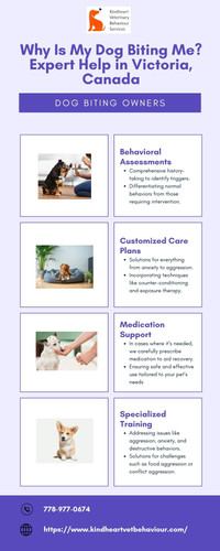Why Is My Dog Biting Me Expert Help in Victoria, Canada.jpg