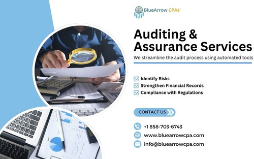 Auditing & Assurance Services.jpg