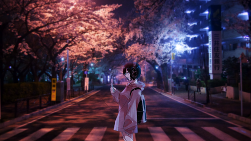 midori cherry blossam3