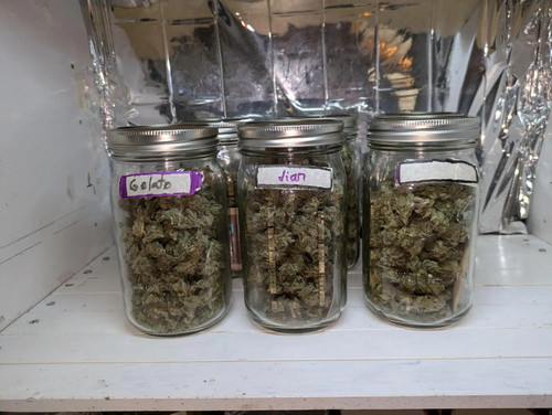 AirBrush 20250327230152.jpg