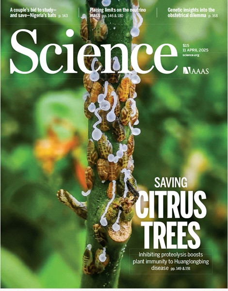 Science - 11 April 2025
