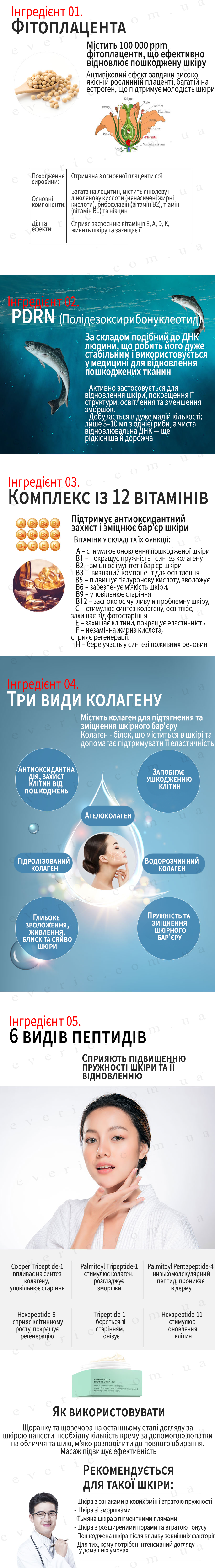 2 копия