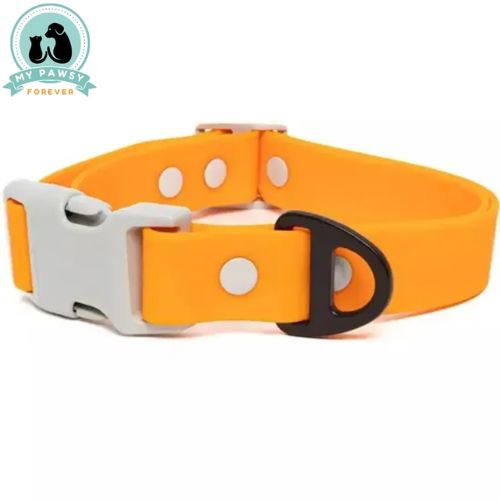 Best Waterproof Dog Collar – Durable & Stylish for Virginia Pups.jpg