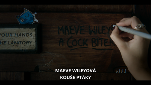 Snímka obrazovky 2025 04 18 115337