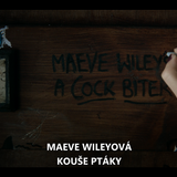 Snímka obrazovky 2025 04 18 115337