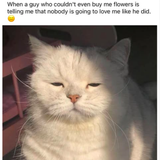 screenshot 2025 04 18 at 1.09.43 pm 480.png