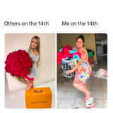 girly meme 20 480.png