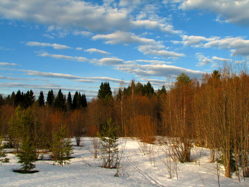 IMG 0554 1.jpg