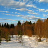 IMG 0554 1