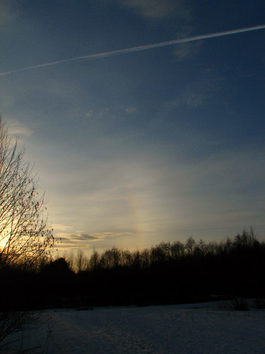 IMG 0590 1.jpg